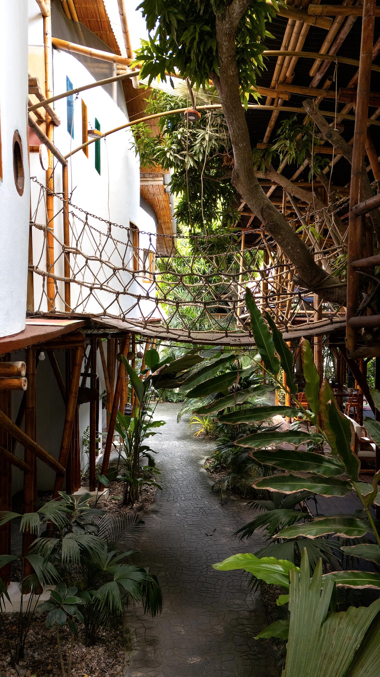 Puente de cuerda entre los árboles