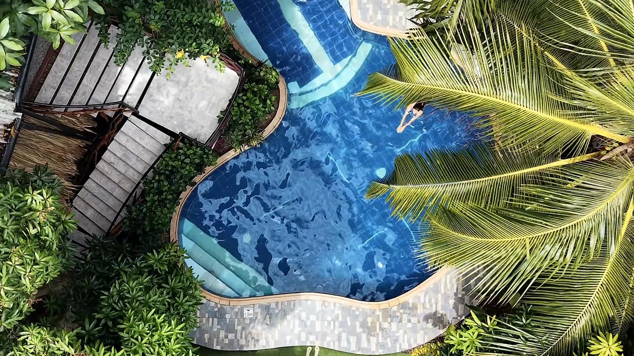 Vista aérea de la piscina de Kanta Sana entre palmeras, en Palomino